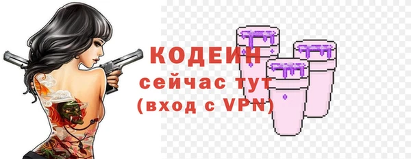 шишки Богородск